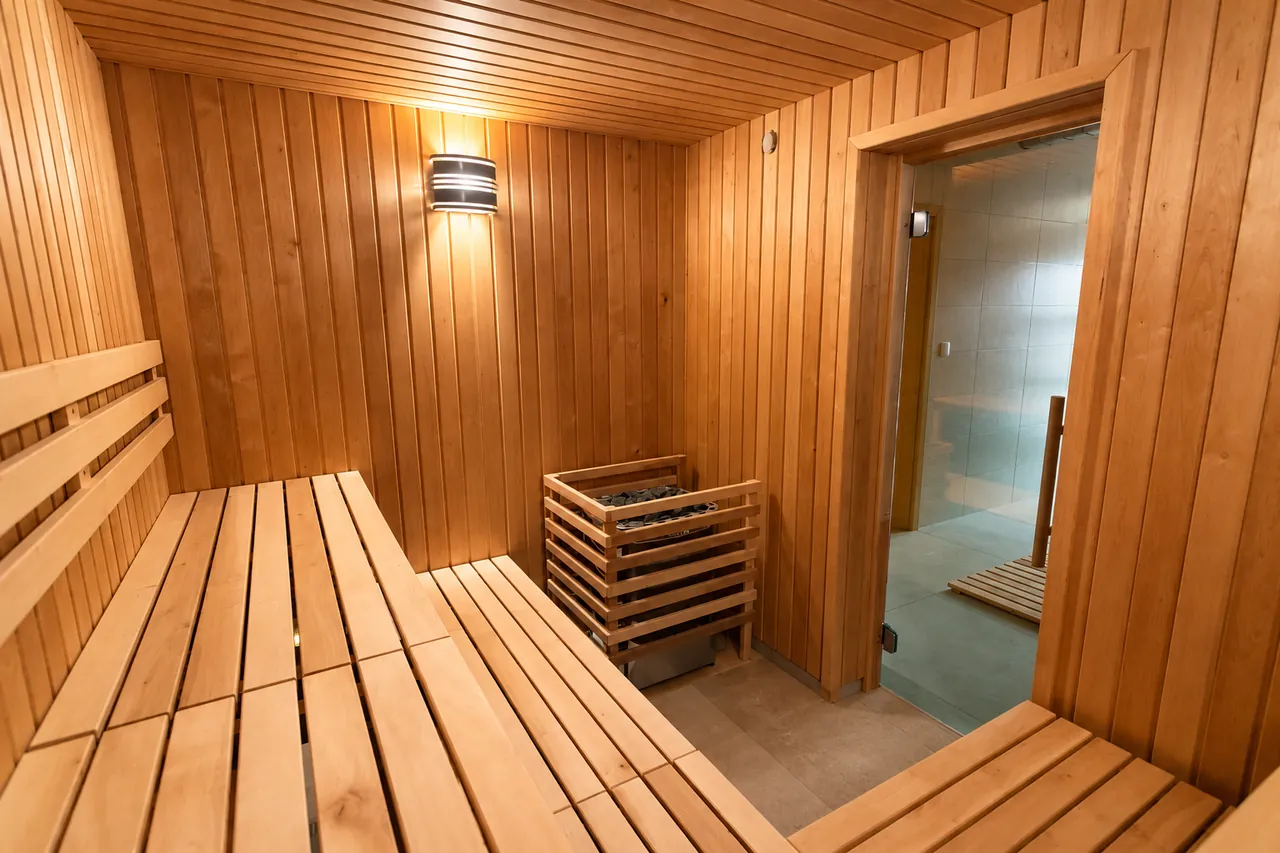 Finská sauna s dřevěnými lavicemi a kamny, za skleněnými dveřmi sprcha